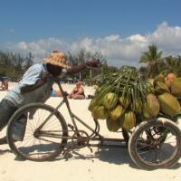 Vendedor de coco